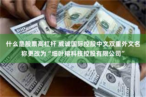 什么是股票高杠杆 威诚国际控股中文双重外文名称更改为“细叶榕科技控股有限公司”
