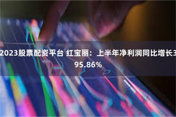 2023股票配资平台 红宝丽：上半年净利润同比增长395.86%