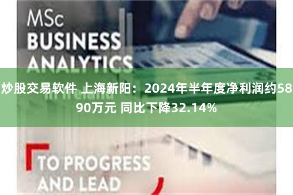 炒股交易软件 上海新阳：2024年半年度净利润约5890万元 同比下降32.14%