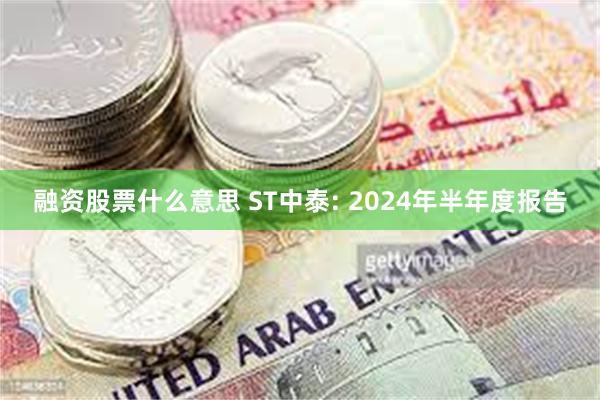 融资股票什么意思 ST中泰: 2024年半年度报告