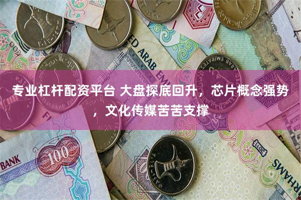 专业杠杆配资平台 大盘探底回升，芯片概念强势，文化传媒苦苦支撑