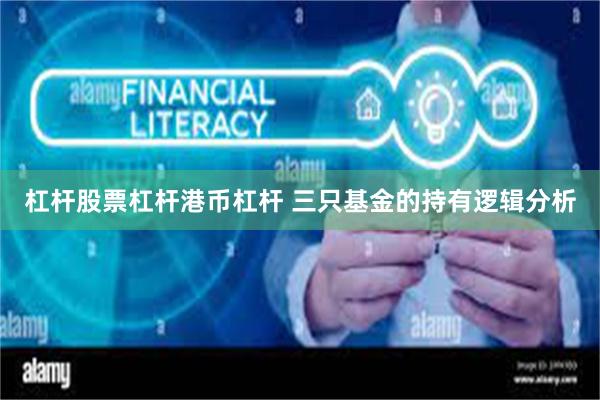 杠杆股票杠杆港币杠杆 三只基金的持有逻辑分析