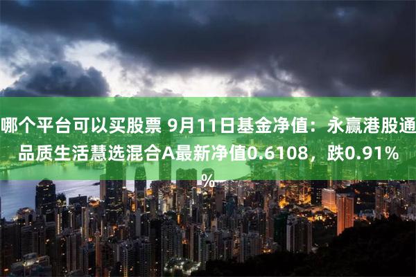 哪个平台可以买股票 9月11日基金净值：永赢港股通品质生活慧选混合A最新净值0.6108，跌0.91%