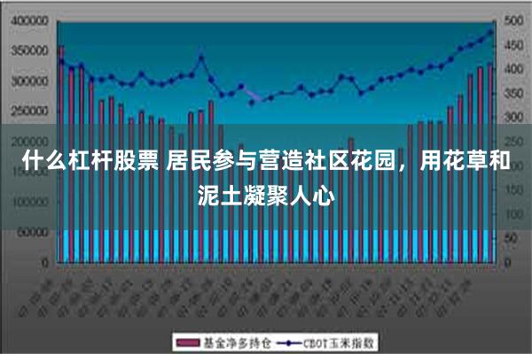 什么杠杆股票 居民参与营造社区花园，用花草和泥土凝聚人心