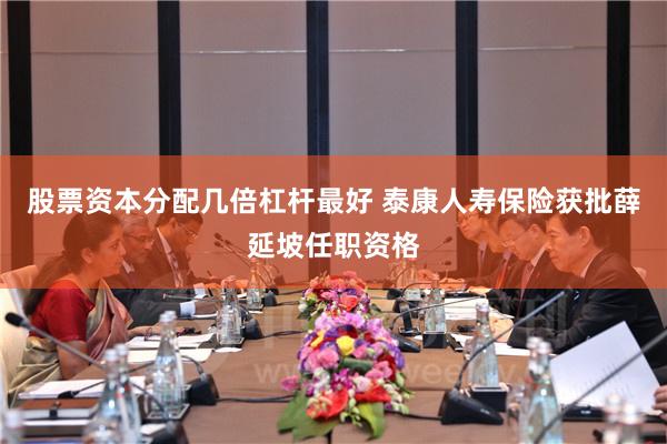 股票资本分配几倍杠杆最好 泰康人寿保险获批薛延坡任职资格
