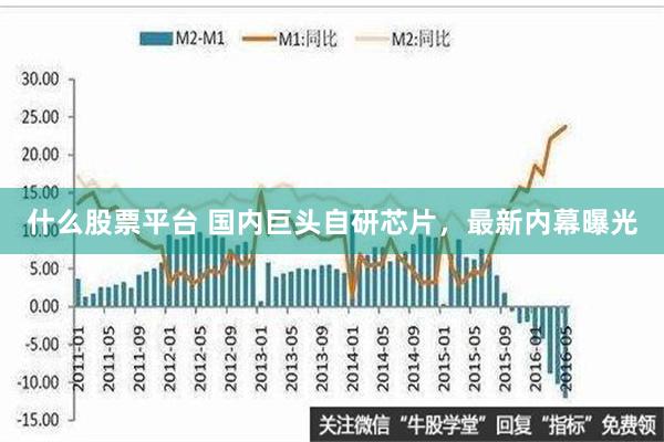 什么股票平台 国内巨头自研芯片，最新内幕曝光