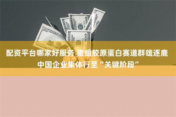 配资平台哪家好服务 重组胶原蛋白赛道群雄逐鹿 中国企业集体行至“关键阶段”