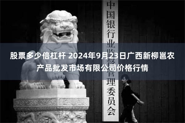 股票多少倍杠杆 2024年9月23日广西新柳邕农产品批发市场有限公司价格行情