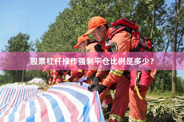 股票杠杆操作强制平仓比例是多少？