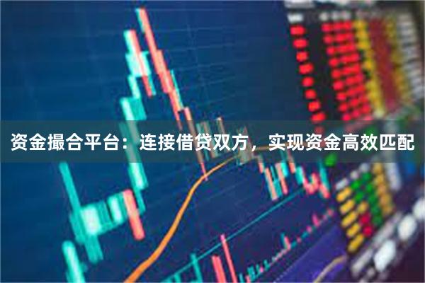 资金撮合平台：连接借贷双方，实现资金高效匹配