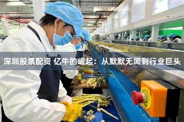 深圳股票配资 亿牛的崛起：从默默无闻到行业巨头