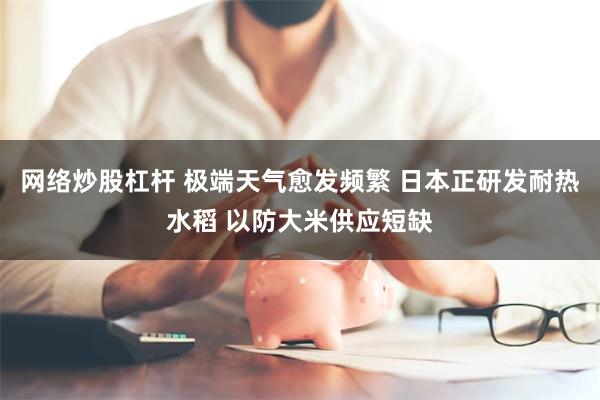 网络炒股杠杆 极端天气愈发频繁 日本正研发耐热水稻 以防大米供应短缺