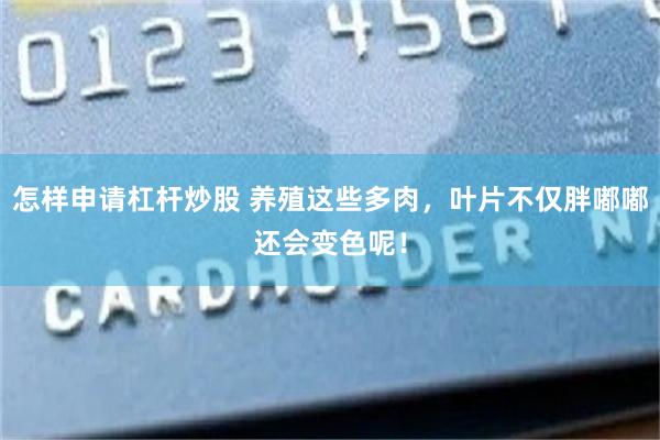 怎样申请杠杆炒股 养殖这些多肉，叶片不仅胖嘟嘟还会变色呢！