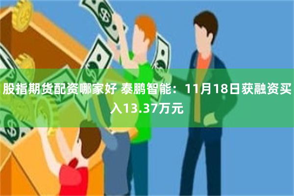 股指期货配资哪家好 泰鹏智能：11月18日获融资买入13.37万元