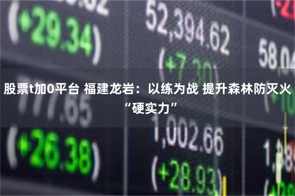 股票t加0平台 福建龙岩：以练为战 提升森林防灭火 “硬实力”