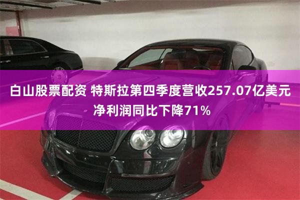白山股票配资 特斯拉第四季度营收257.07亿美元 净利润同比下降71%
