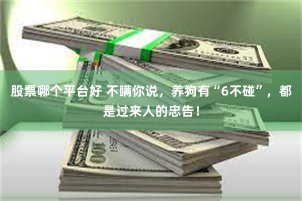 股票哪个平台好 不瞒你说，养狗有“6不碰”，都是过来人的忠告！