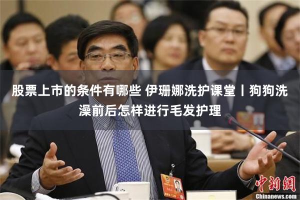 股票上市的条件有哪些 伊珊娜洗护课堂丨狗狗洗澡前后怎样进行毛发护理