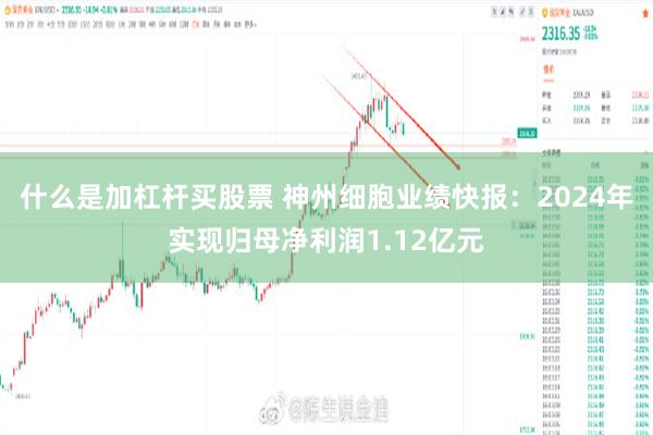 什么是加杠杆买股票 神州细胞业绩快报：2024年实现归母净利润1.12亿元