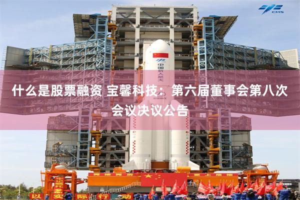 什么是股票融资 宝馨科技：第六届董事会第八次会议决议公告