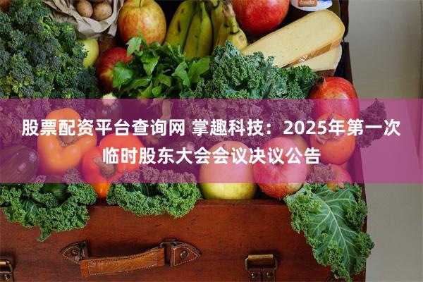 股票配资平台查询网 掌趣科技：2025年第一次临时股东大会会议决议公告