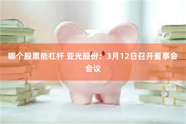 哪个股票能杠杆 亚光股份：3月12日召开董事会会议