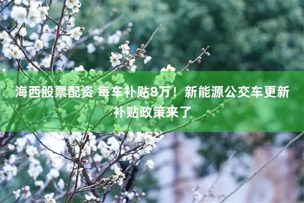 海西股票配资 每车补贴8万！新能源公交车更新补贴政策来了