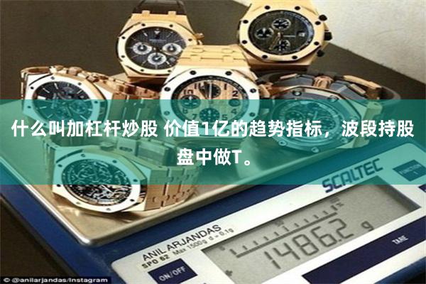 什么叫加杠杆炒股 价值1亿的趋势指标，波段持股盘中做T。
