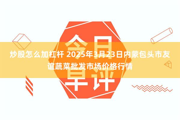 炒股怎么加杠杆 2025年3月23日内蒙包头市友谊蔬菜批发市场价格行情