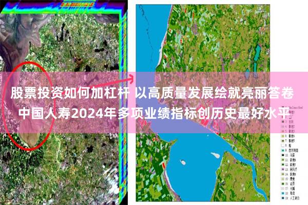 股票投资如何加杠杆 以高质量发展绘就亮丽答卷 中国人寿2024年多项业绩指标创历史最好水平