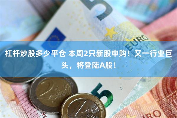 杠杆炒股多少平仓 本周2只新股申购！又一行业巨头，将登陆A股！