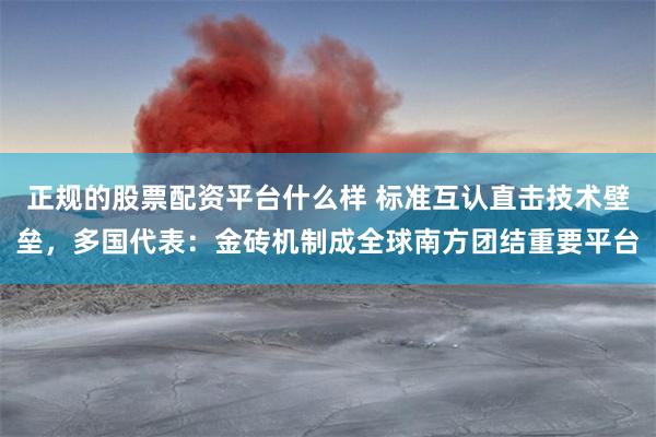 正规的股票配资平台什么样 标准互认直击技术壁垒，多国代表：金砖机制成全球南方团结重要平台