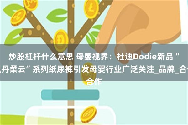 炒股杠杆什么意思 母婴视界：杜迪Dodie新品“枫丹柔云”系列纸尿裤引发母婴行业广泛关注_品牌_合作