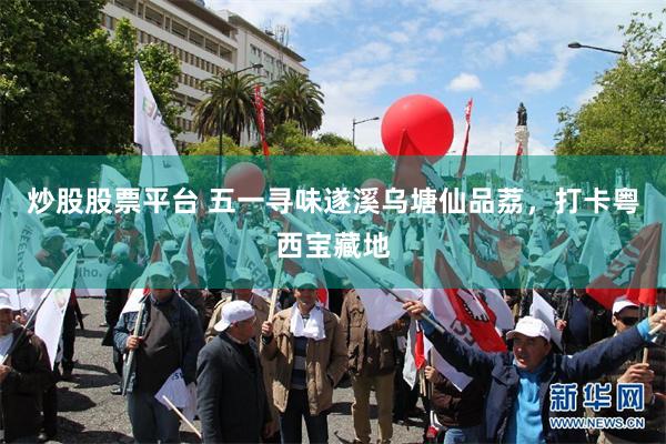 炒股股票平台 五一寻味遂溪乌塘仙品荔，打卡粤西宝藏地