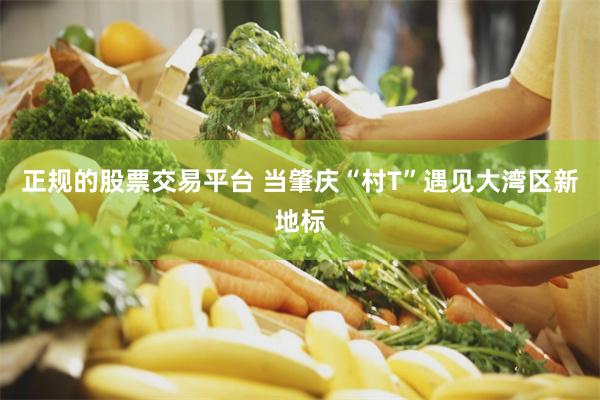 正规的股票交易平台 当肇庆“村T”遇见大湾区新地标
