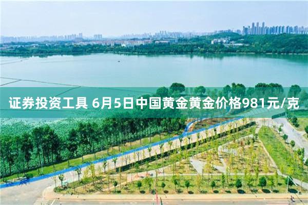 证券投资工具 6月5日中国黄金黄金价格981元/克