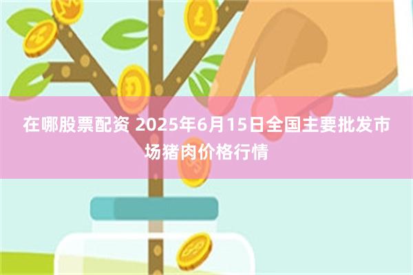 在哪股票配资 2025年6月15日全国主要批发市场猪肉价格行情