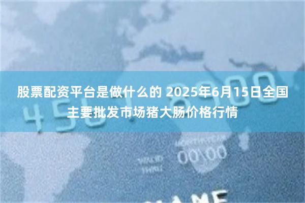 股票配资平台是做什么的 2025年6月15日全国主要批发市场猪大肠价格行情