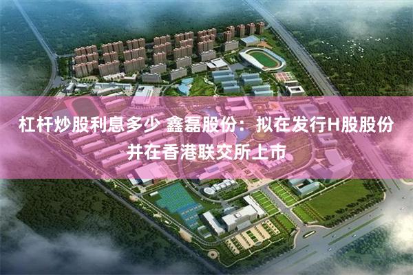 杠杆炒股利息多少 鑫磊股份：拟在发行H股股份并在香港联交所上市