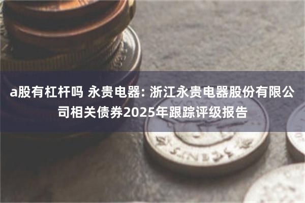 a股有杠杆吗 永贵电器: 浙江永贵电器股份有限公司相关债券2025年跟踪评级报告