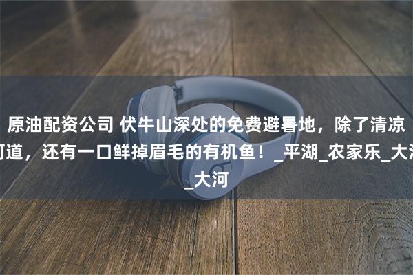原油配资公司 伏牛山深处的免费避暑地，除了清凉河道，还有一口鲜掉眉毛的有机鱼！_平湖_农家乐_大河