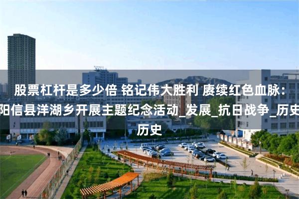 股票杠杆是多少倍 铭记伟大胜利 赓续红色血脉：阳信县洋湖乡开展主题纪念活动_发展_抗日战争_历史