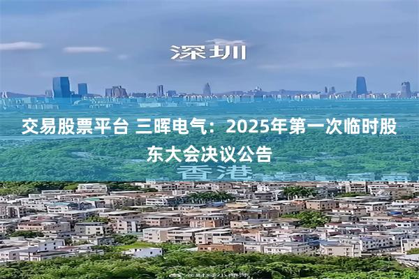 交易股票平台 三晖电气：2025年第一次临时股东大会决议公告