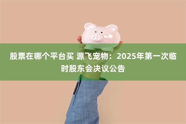 股票在哪个平台买 源飞宠物：2025年第一次临时股东会决议公告