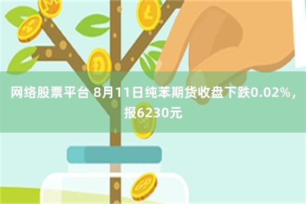 网络股票平台 8月11日纯苯期货收盘下跌0.02%，报6230元