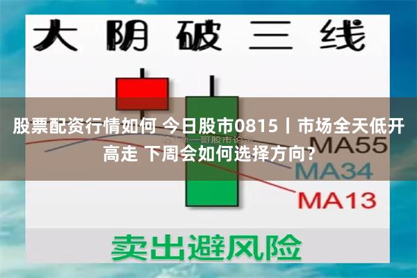 股票配资行情如何 今日股市0815丨市场全天低开高走 下周会如何选择方向？