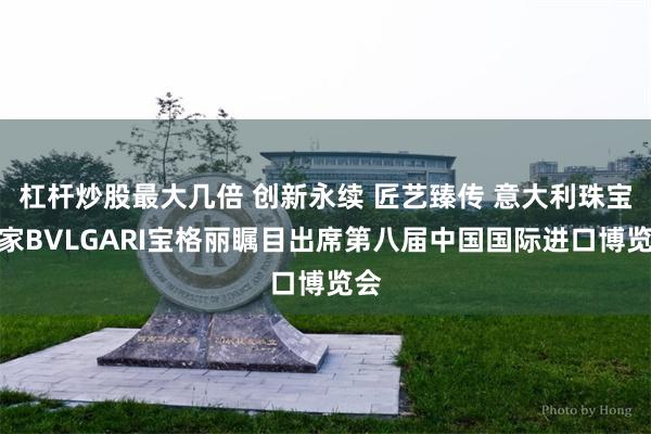 杠杆炒股最大几倍 创新永续 匠艺臻传 意大利珠宝世家BVLGARI宝格丽瞩目出席第八届中国国际进口博览会