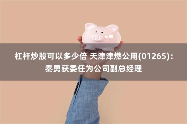 杠杆炒股可以多少倍 天津津燃公用(01265)：秦勇获委任为公司副总经理